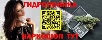 гидра Гай