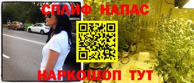 гидра Гай